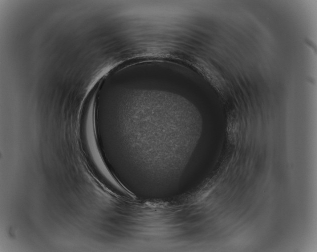 X0000097590484200803071324