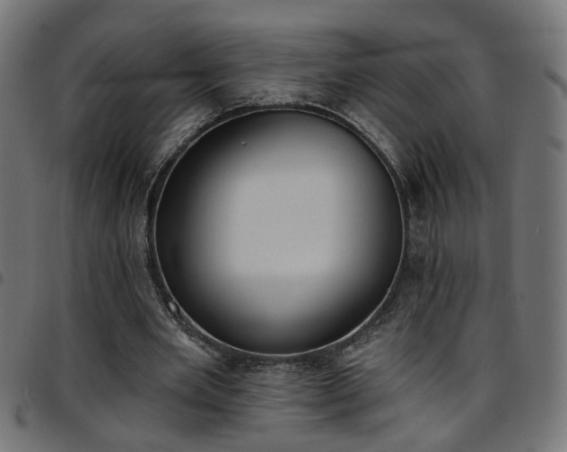 X0000097590485200803071324