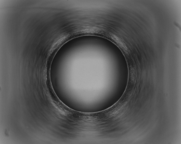 X0000097590486200803071324