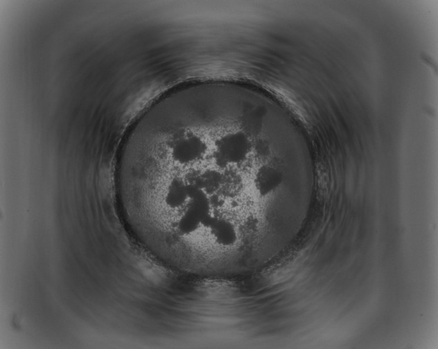 X0000097590487200803071324