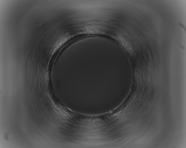 X0000097590488200803071324