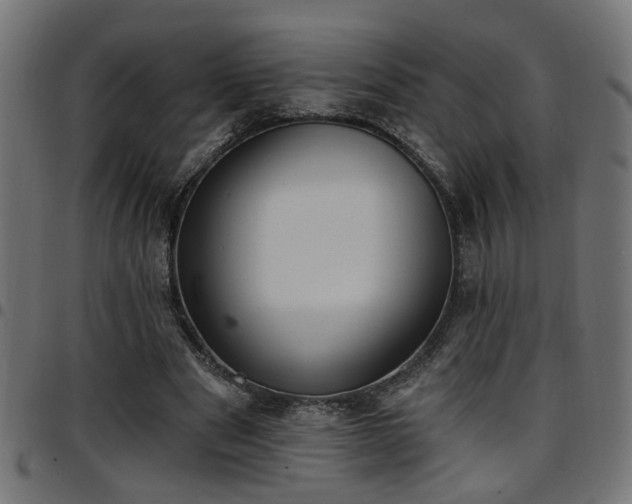 X0000097590489200803071324