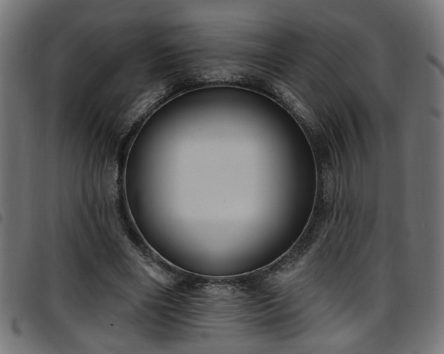 X0000097590490200803071324