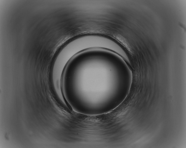 X0000097590491200803071324