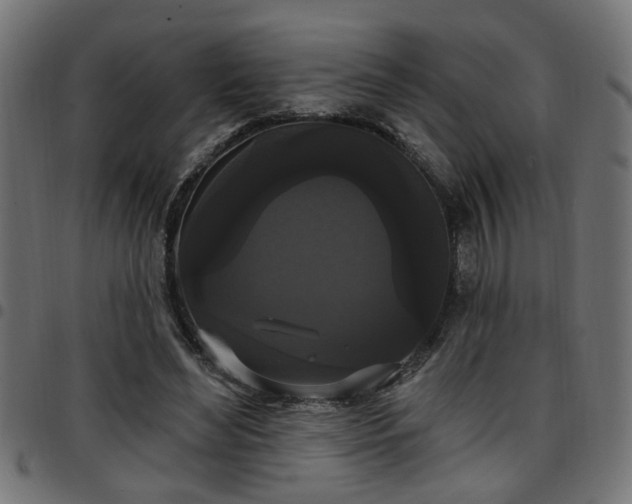 X0000097590492200803071324