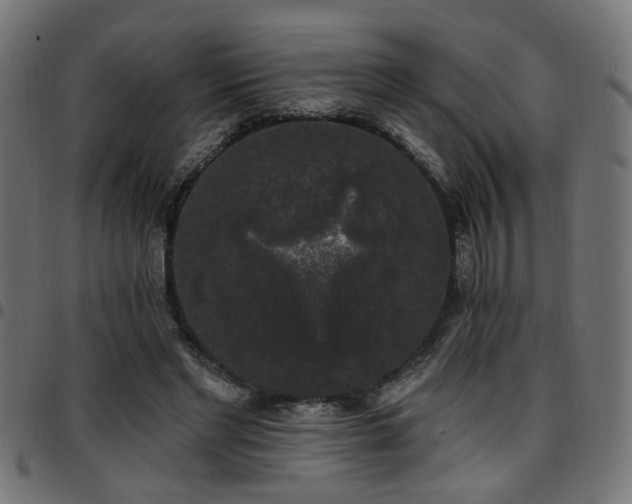 X0000097590493200803071324