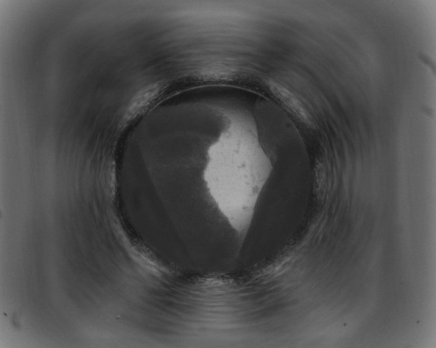 X0000097590494200803071324