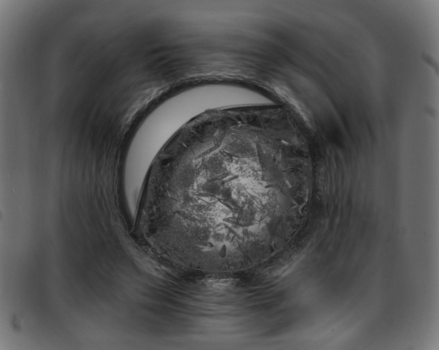 X0000097590495200803071324