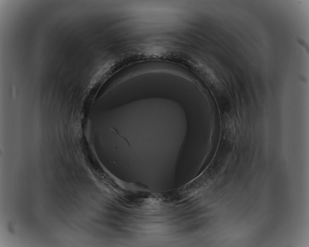 X0000097590496200803071324