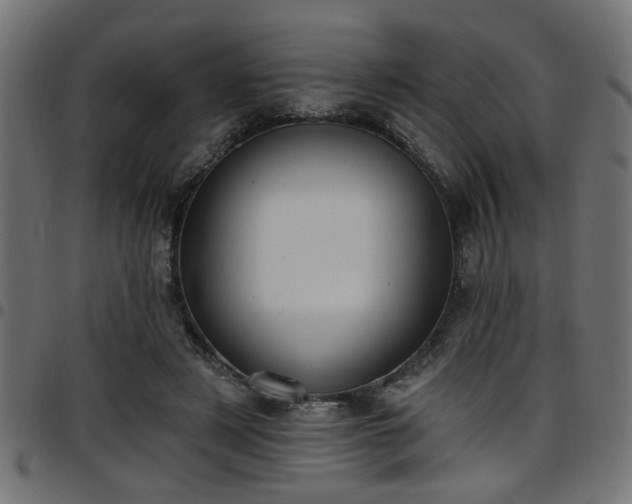 X0000097590497200803071324