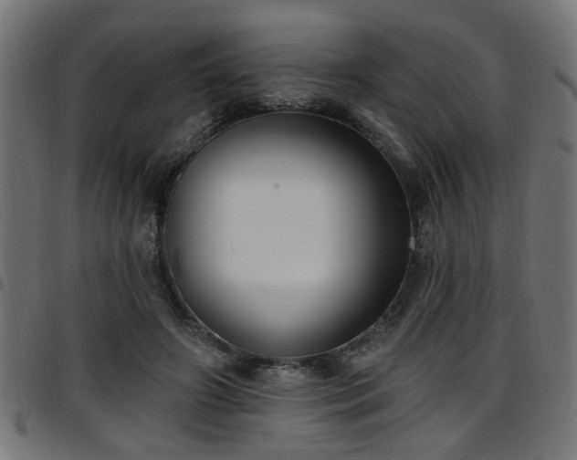 X0000097590498200803071324