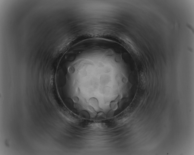 X0000097590499200803071324