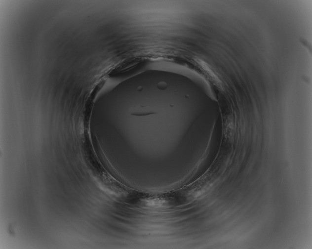 X0000097590500200803071324