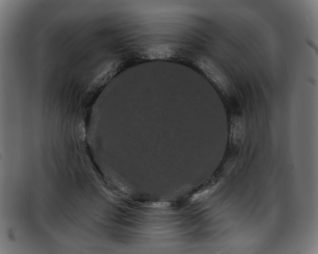 X0000097590501200803071324