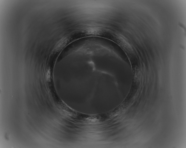 X0000097590502200803071324