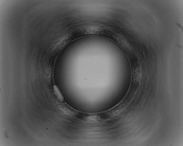 X0000097590505200803071324