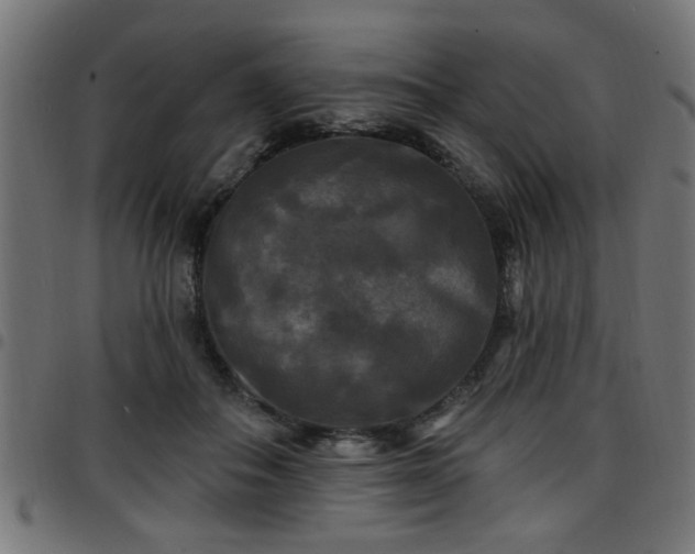 X0000097590506200803071324