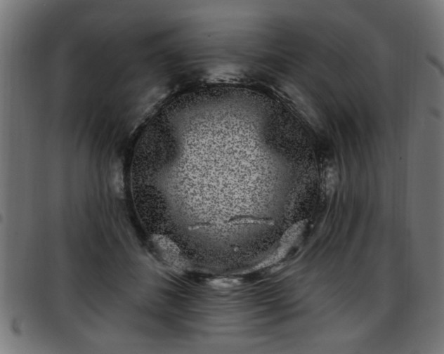 X0000097590508200803071324