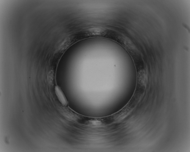 X0000097590509200803071324