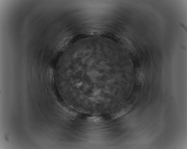 X0000097590511200803071324