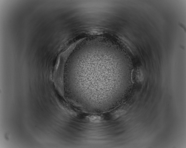 X0000097590512200803071324