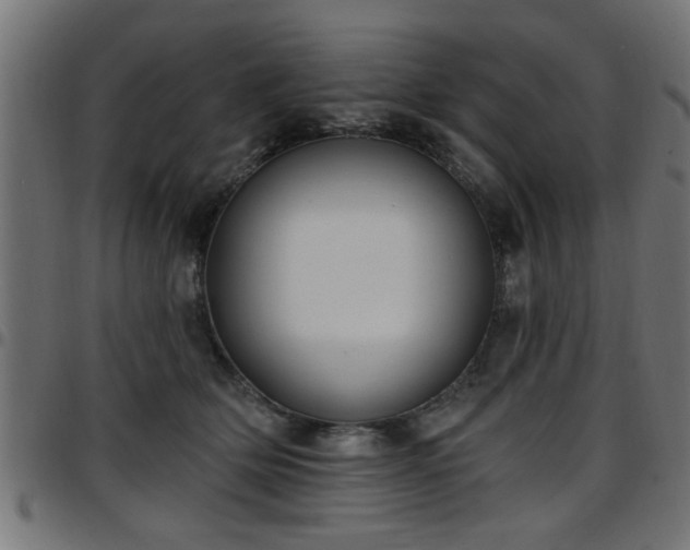 X0000097590514200803071324