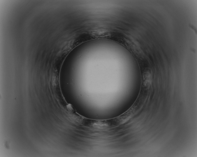 X0000097590515200803071324