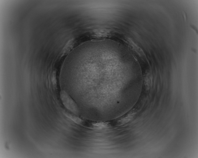 X0000097590516200803071324