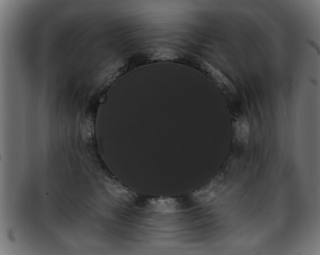 X0000097590517200803071324