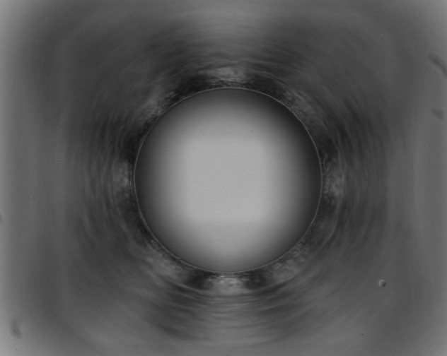 X0000097590518200803071324