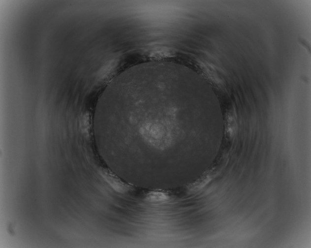 X0000097590519200803071324