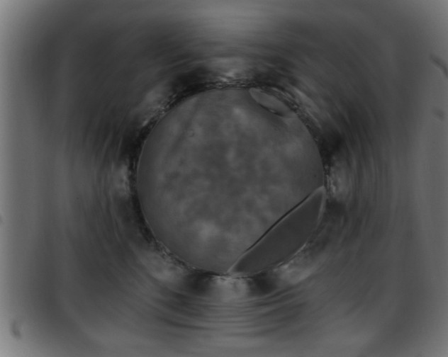 X0000097590520200803071324