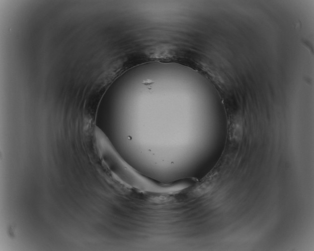 X0000097590521200803071324