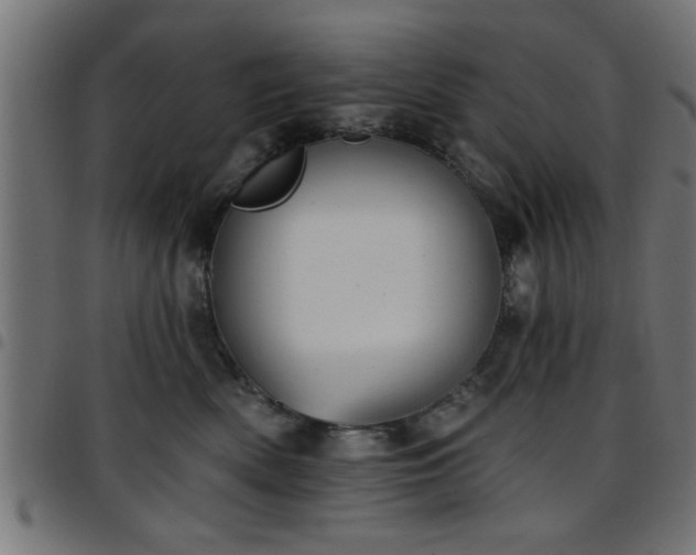 X0000097590522200803071323