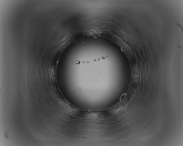 X0000097590523200803071323