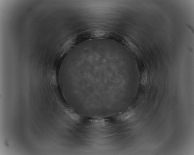 X0000097590524200803071323