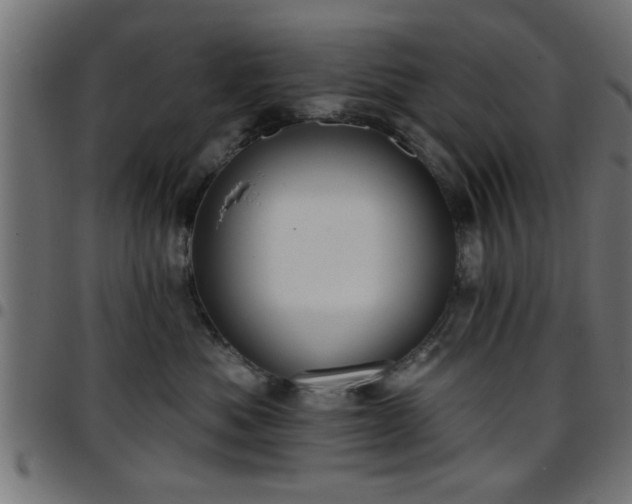 X0000097590525200803071323