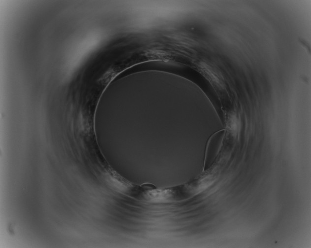 X0000097590526200803071323