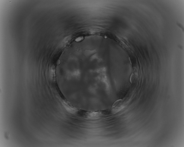 X0000097590527200803071323