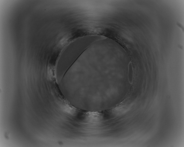 X0000097590528200803071323