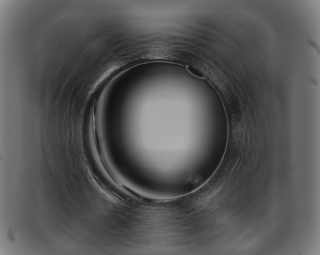 X0000097590530200803071323