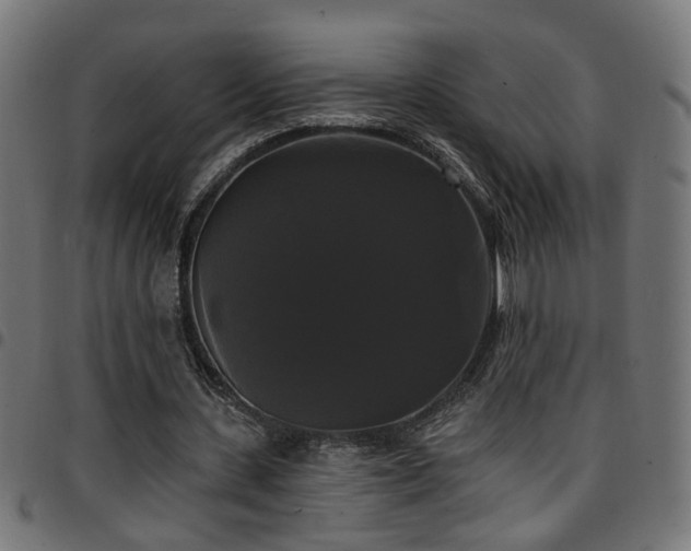 X0000097590531200803071323