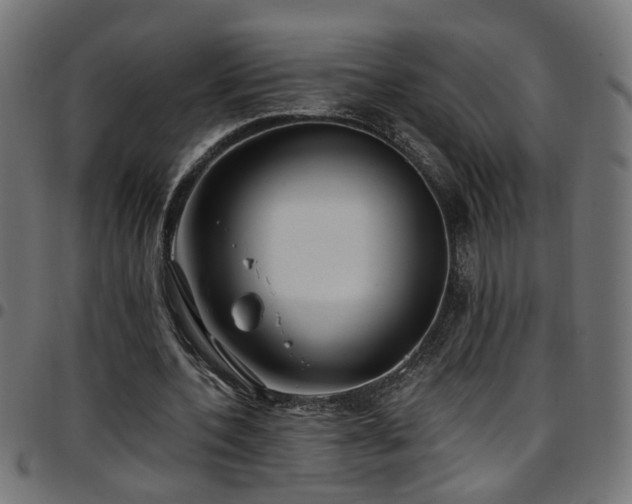 X0000097590532200803071323