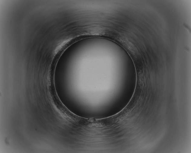 X0000097590536200803071323