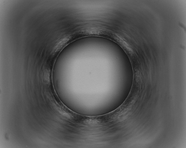 X0000097590537200803071323