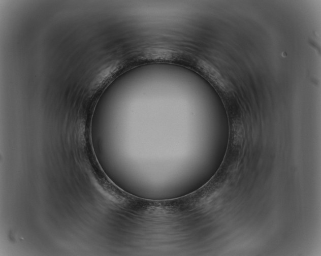 X0000097590538200803071323