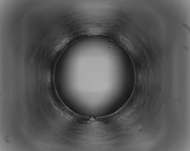 X0000097590539200803071323