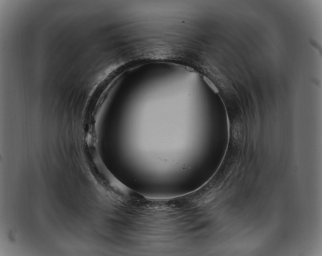 X0000097590540200803071323