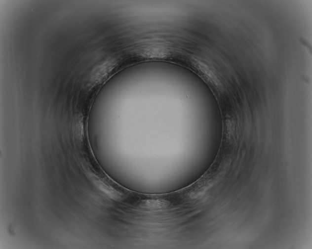 X0000097590541200803071323