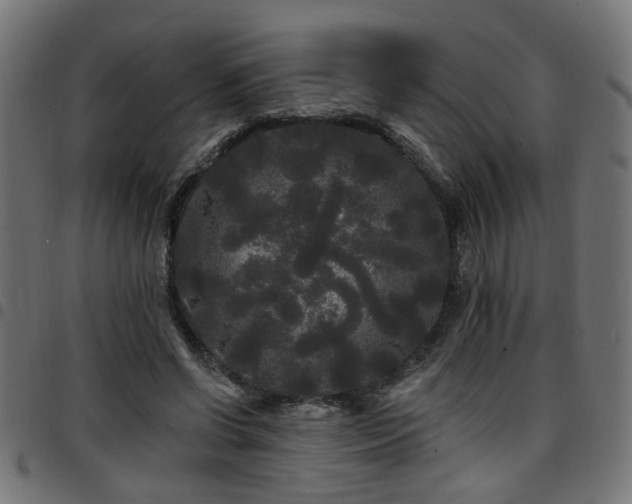 X0000097590542200803071323